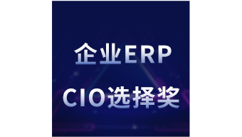 企业ERP CIO选择奖