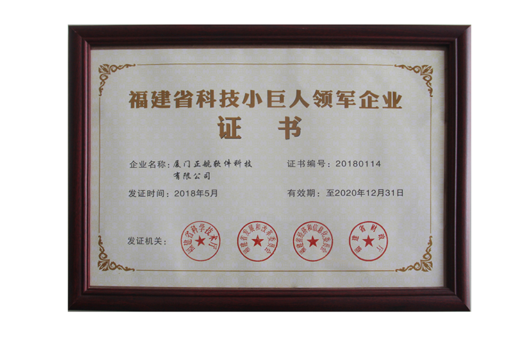 福建省科技小巨人